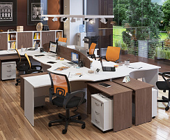 Имаго Имаго