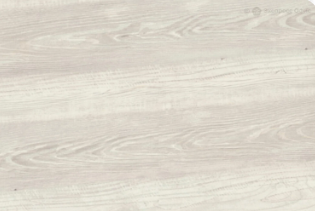 Сосна Эдмонт